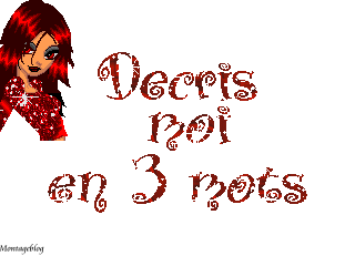 D&eacute;criis moi en 3mots