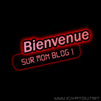 Bienvenue sur mon blog !